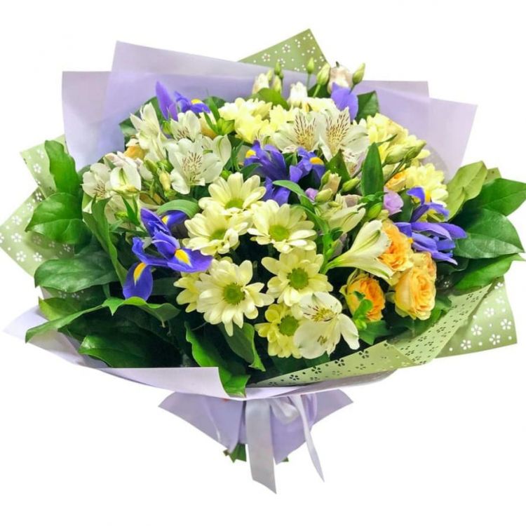 Белый ветер от 7 200 руб.